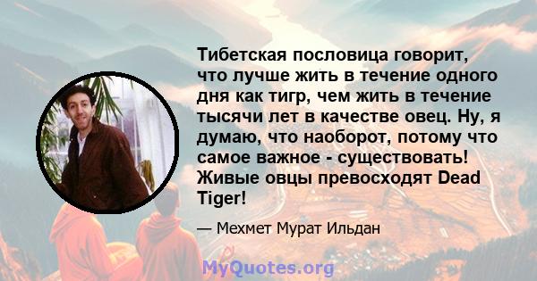 Тибетская пословица говорит, что лучше жить в течение одного дня как тигр, чем жить в течение тысячи лет в качестве овец. Ну, я думаю, что наоборот, потому что самое важное - существовать! Живые овцы превосходят Dead