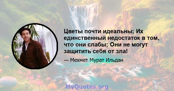 Цветы почти идеальны; Их единственный недостаток в том, что они слабы; Они не могут защитить себя от зла!