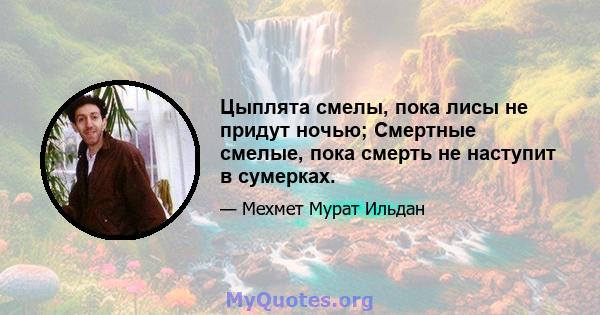 Цыплята смелы, пока лисы не придут ночью; Смертные смелые, пока смерть не наступит в сумерках.