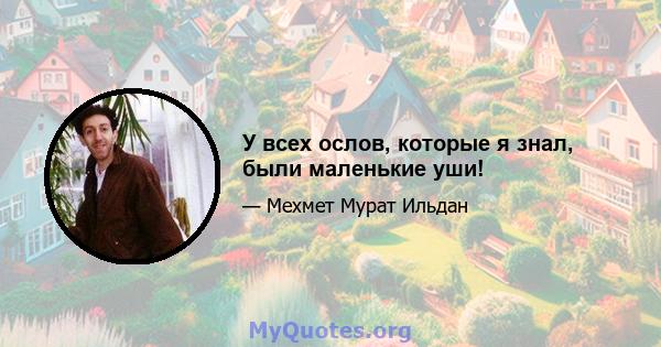 У всех ослов, которые я знал, были маленькие уши!