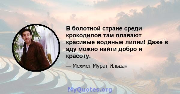 В болотной стране среди крокодилов там плавают красивые водяные лилии! Даже в аду можно найти добро и красоту.