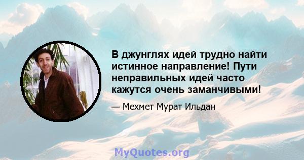 В джунглях идей трудно найти истинное направление! Пути неправильных идей часто кажутся очень заманчивыми!