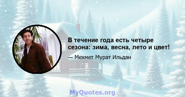 В течение года есть четыре сезона: зима, весна, лето и цвет!