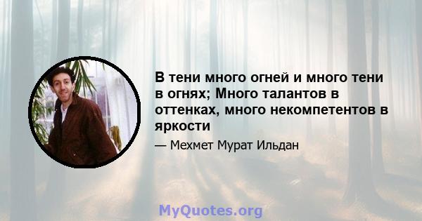 В тени много огней и много тени в огнях; Много талантов в оттенках, много некомпетентов в яркости