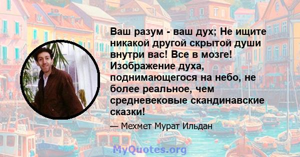 Ваш разум - ваш дух; Не ищите никакой другой скрытой души внутри вас! Все в мозге! Изображение духа, поднимающегося на небо, не более реальное, чем средневековые скандинавские сказки!