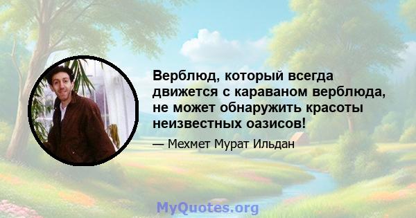 Верблюд, который всегда движется с караваном верблюда, не может обнаружить красоты неизвестных оазисов!