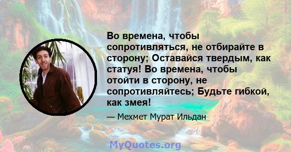 Во времена, чтобы сопротивляться, не отбирайте в сторону; Оставайся твердым, как статуя! Во времена, чтобы отойти в сторону, не сопротивляйтесь; Будьте гибкой, как змея!