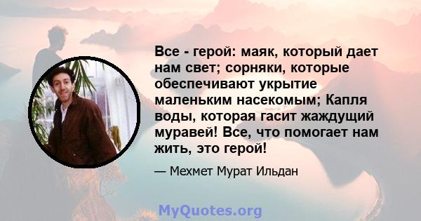 Все - герой: маяк, который дает нам свет; сорняки, которые обеспечивают укрытие маленьким насекомым; Капля воды, которая гасит жаждущий муравей! Все, что помогает нам жить, это герой!