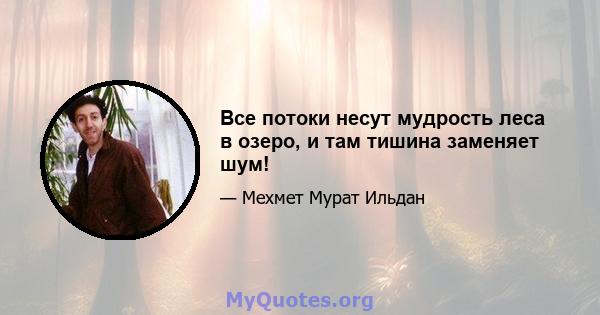 Все потоки несут мудрость леса в озеро, и там тишина заменяет шум!