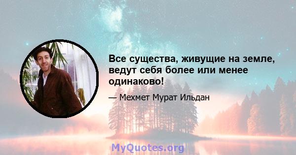 Все существа, живущие на земле, ведут себя более или менее одинаково!