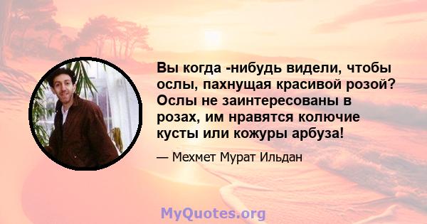 Вы когда -нибудь видели, чтобы ослы, пахнущая красивой розой? Ослы не заинтересованы в розах, им нравятся колючие кусты или кожуры арбуза!