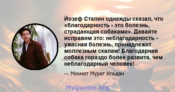 Йозеф Сталин однажды сказал, что «благодарность - это болезнь, страдающая собаками». Давайте исправим это: неблагодарность - ужасная болезнь, принадлежит моллезным скалам! Благодарная собака гораздо более развита, чем