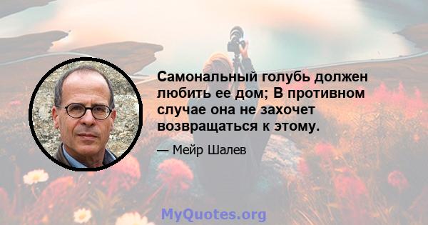 Самональный голубь должен любить ее дом; В противном случае она не захочет возвращаться к этому.