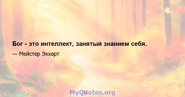 Бог - это интеллект, занятый знанием себя.