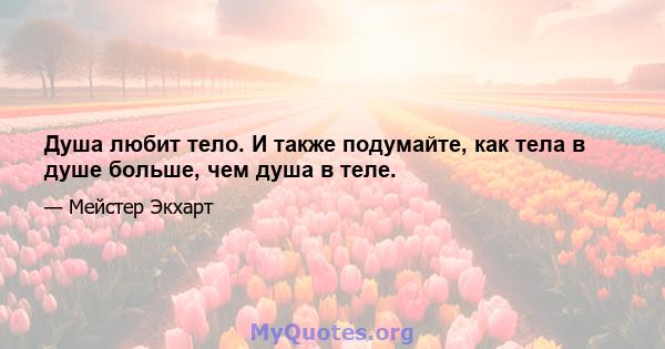 Душа любит тело. И также подумайте, как тела в душе больше, чем душа в теле.