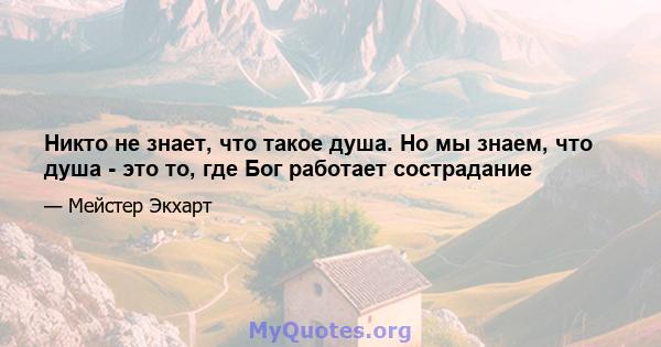 Никто не знает, что такое душа. Но мы знаем, что душа - это то, где Бог работает сострадание