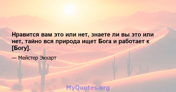 Нравится вам это или нет, знаете ли вы это или нет, тайно вся природа ищет Бога и работает к [Богу].