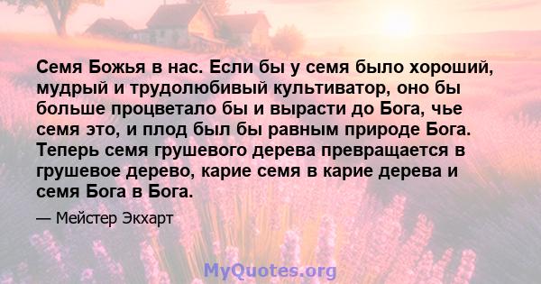 Семя Божья в нас. Если бы у семя было хороший, мудрый и трудолюбивый культиватор, оно бы больше процветало бы и вырасти до Бога, чье семя это, и плод был бы равным природе Бога. Теперь семя грушевого дерева превращается 