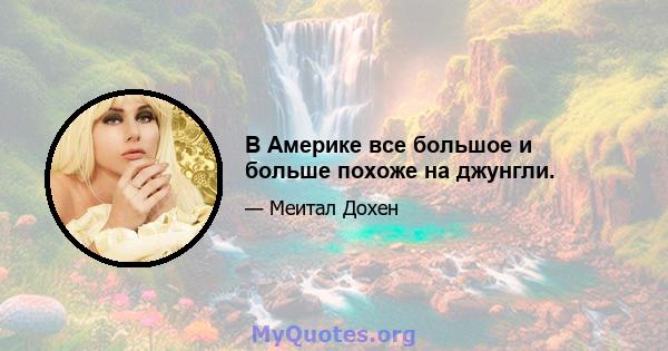 В Америке все большое и больше похоже на джунгли.