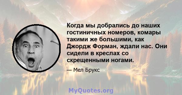 Когда мы добрались до наших гостиничных номеров, комары такими же большими, как Джордж Форман, ждали нас. Они сидели в креслах со скрещенными ногами.