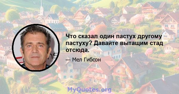 Что сказал один пастух другому пастуху? Давайте вытащим стад отсюда.