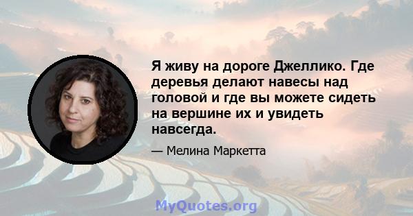 Я живу на дороге Джеллико. Где деревья делают навесы над головой и где вы можете сидеть на вершине их и увидеть навсегда.