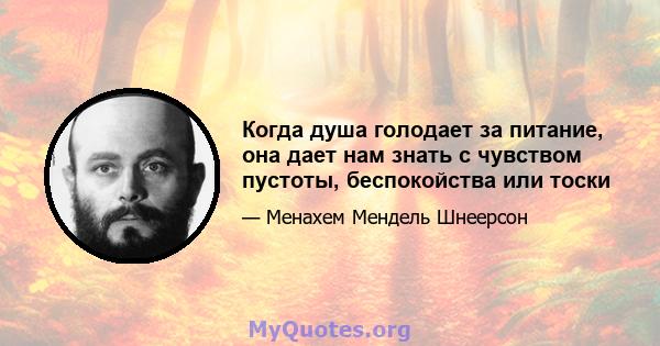 Когда душа голодает за питание, она дает нам знать с чувством пустоты, беспокойства или тоски