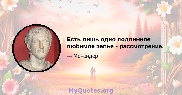 Есть лишь одно подлинное любимое зелье - рассмотрение.