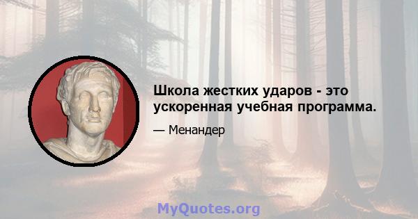 Школа жестких ударов - это ускоренная учебная программа.