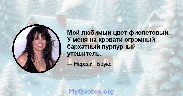 Мой любимый цвет фиолетовый. У меня на кровати огромный бархатный пурпурный утешитель.