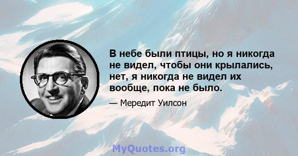 В небе были птицы, но я никогда не видел, чтобы они крылались, нет, я никогда не видел их вообще, пока не было.