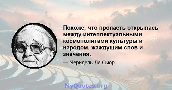 Похоже, что пропасть открылась между интеллектуальными космополитами культуры и народом, жаждущим слов и значения.