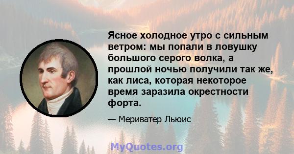 Ясное холодное утро с сильным ветром: мы попали в ловушку большого серого волка, а прошлой ночью получили так же, как лиса, которая некоторое время заразила окрестности форта.