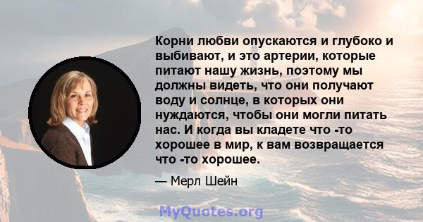 Корни любви опускаются и глубоко и выбивают, и это артерии, которые питают нашу жизнь, поэтому мы должны видеть, что они получают воду и солнце, в которых они нуждаются, чтобы они могли питать нас. И когда вы кладете