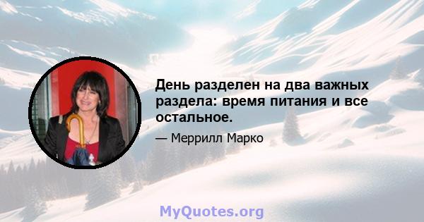 День разделен на два важных раздела: время питания и все остальное.