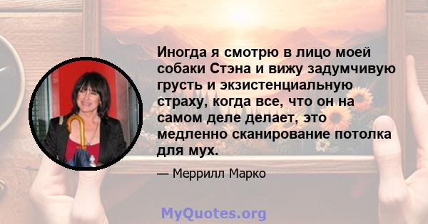 Иногда я смотрю в лицо моей собаки Стэна и вижу задумчивую грусть и экзистенциальную страху, когда все, что он на самом деле делает, это медленно сканирование потолка для мух.