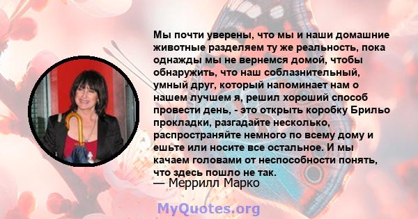 Мы почти уверены, что мы и наши домашние животные разделяем ту же реальность, пока однажды мы не вернемся домой, чтобы обнаружить, что наш соблазнительный, умный друг, который напоминает нам о нашем лучшем я, решил