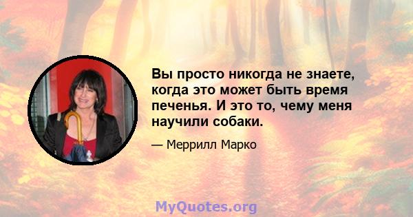 Вы просто никогда не знаете, когда это может быть время печенья. И это то, чему меня научили собаки.