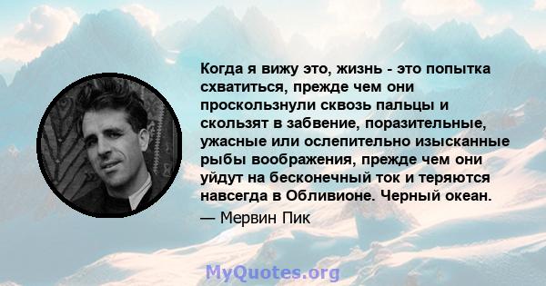 Когда я вижу это, жизнь - это попытка схватиться, прежде чем они проскользнули сквозь пальцы и скользят в забвение, поразительные, ужасные или ослепительно изысканные рыбы воображения, прежде чем они уйдут на