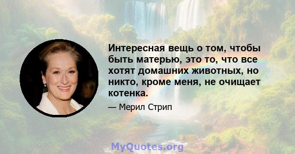 Интересная вещь о том, чтобы быть матерью, это то, что все хотят домашних животных, но никто, кроме меня, не очищает котенка.