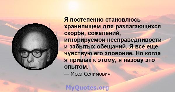 Я постепенно становлюсь хранилищем для разлагающихся скорби, сожалений, игнорируемой несправедливости и забытых обещаний. Я все еще чувствую его зловоние. Но когда я привык к этому, я назову это опытом.