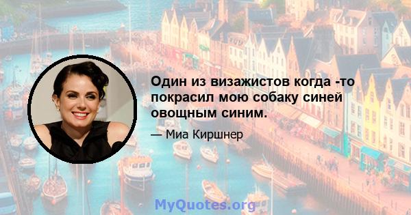 Один из визажистов когда -то покрасил мою собаку синей овощным синим.