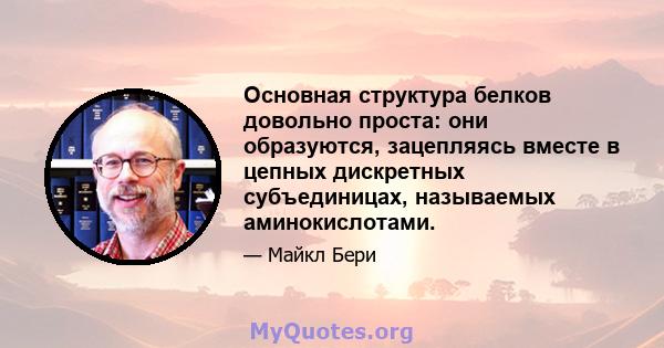 Основная структура белков довольно проста: они образуются, зацепляясь вместе в цепных дискретных субъединицах, называемых аминокислотами.