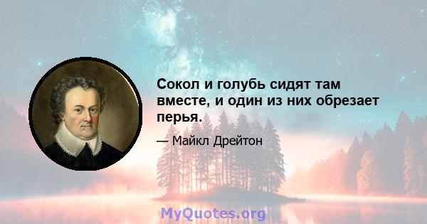 Сокол и голубь сидят там вместе, и один из них обрезает перья.