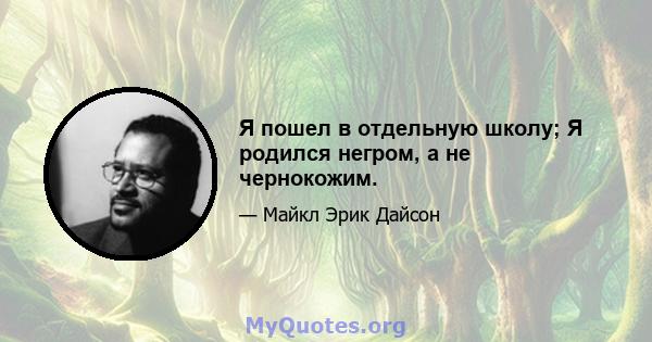 Я пошел в отдельную школу; Я родился негром, а не чернокожим.