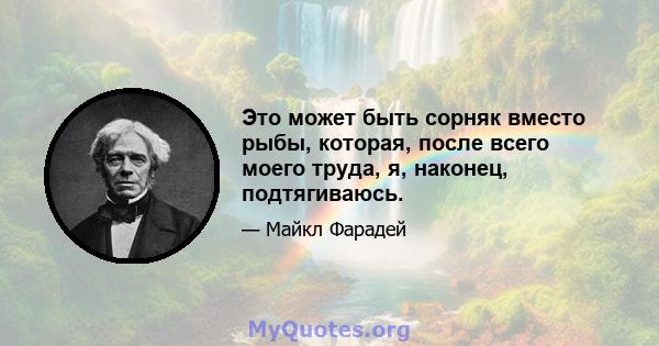 Это может быть сорняк вместо рыбы, которая, после всего моего труда, я, наконец, подтягиваюсь.