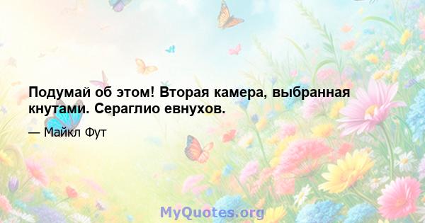 Подумай об этом! Вторая камера, выбранная кнутами. Сераглио евнухов.