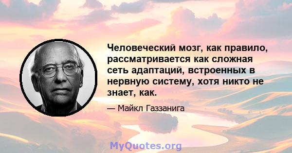 Человеческий мозг, как правило, рассматривается как сложная сеть адаптаций, встроенных в нервную систему, хотя никто не знает, как.