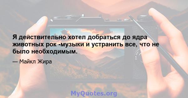 Я действительно хотел добраться до ядра животных рок -музыки и устранить все, что не было необходимым.