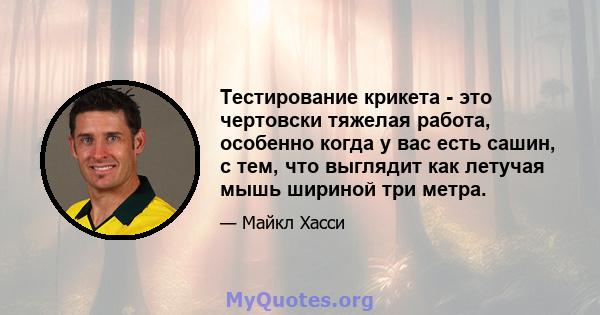 Тестирование крикета - это чертовски тяжелая работа, особенно когда у вас есть сашин, с тем, что выглядит как летучая мышь шириной три метра.